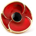 3D Poppy Recollections Lapel Pin