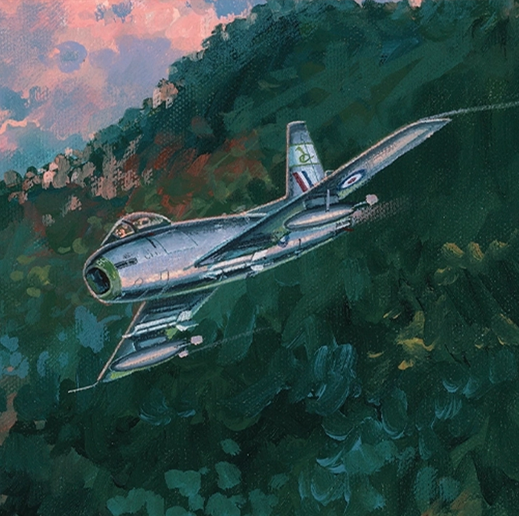 A Sabre flying in the Cobra Sabres Artwork