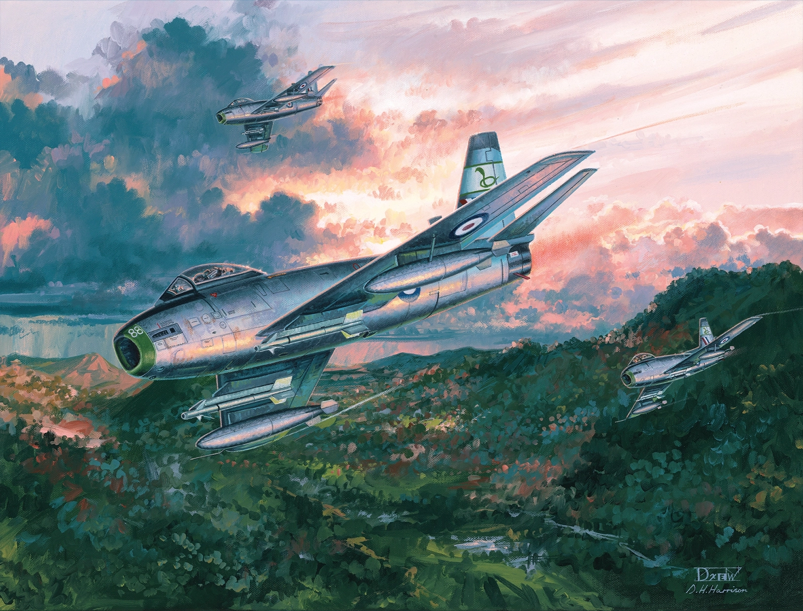 Full commissioned artwork Cobra Sabres by Drew Harrison