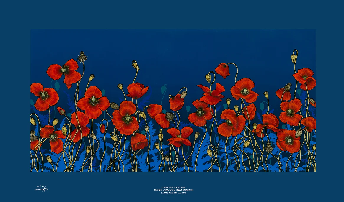 Where The Poppies Grow Limited Edition Canvas Artwork 