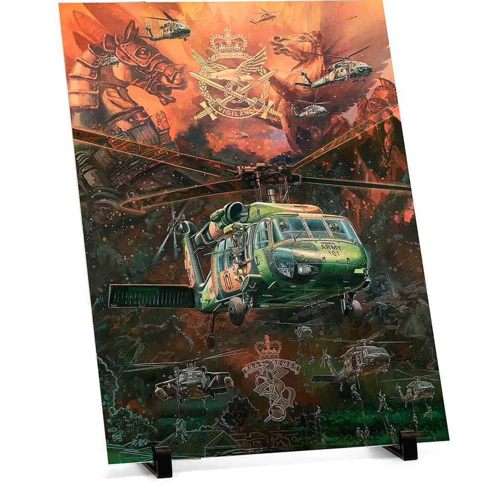 Black Hawk Sunset Limited Edition Aluminium Print